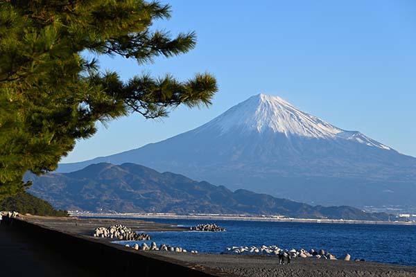 Shizuoka
