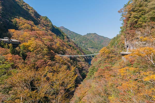 Tokushima