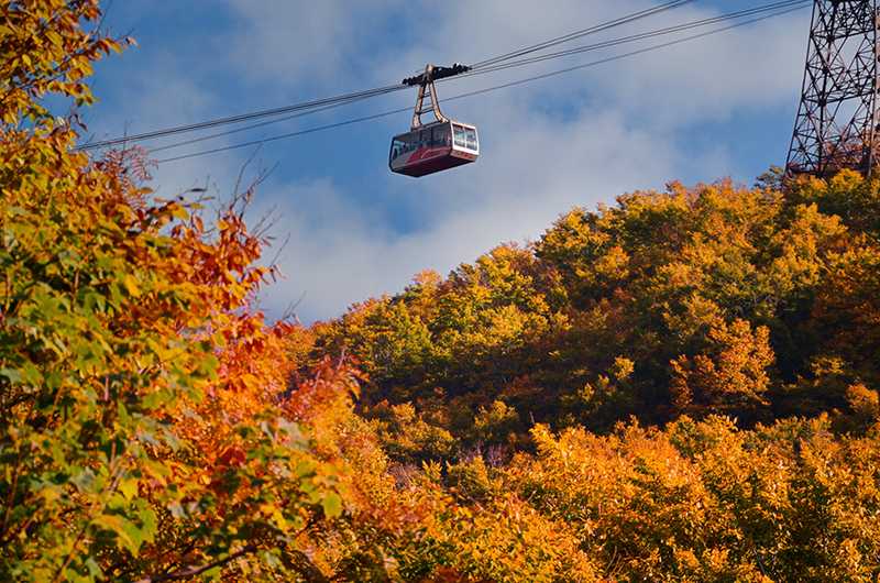 Aomori City