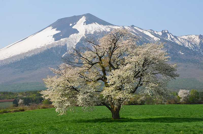 Hachimantai City