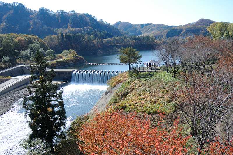 Nishiwaga Town
