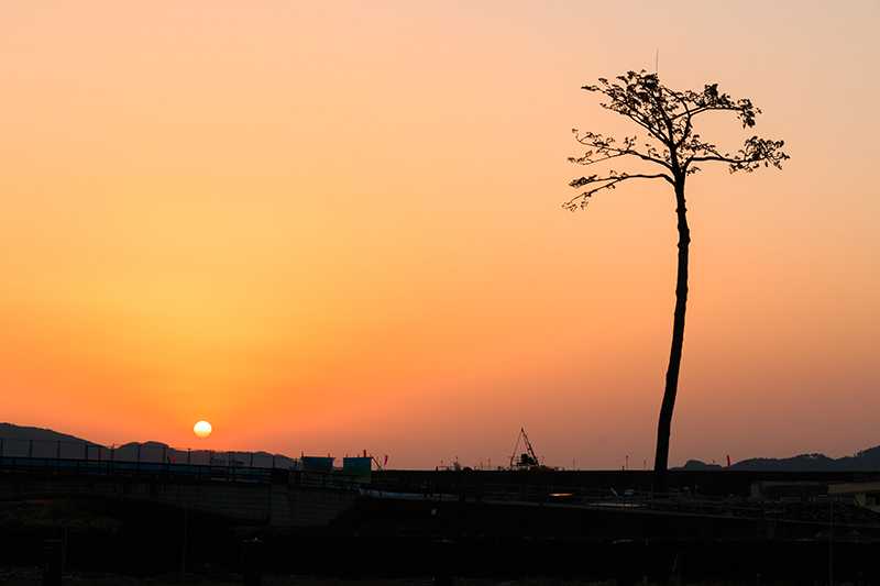 Rikuzentakata City