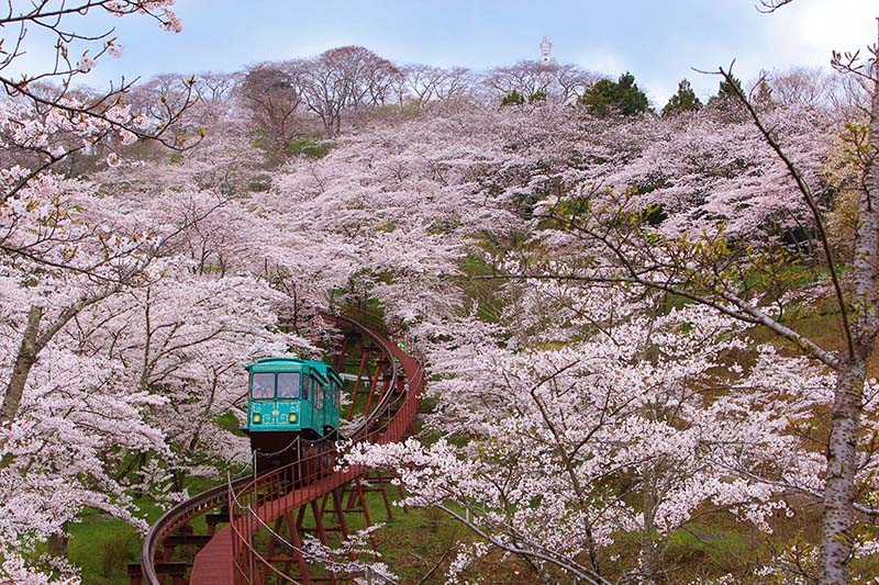 Shibata Town