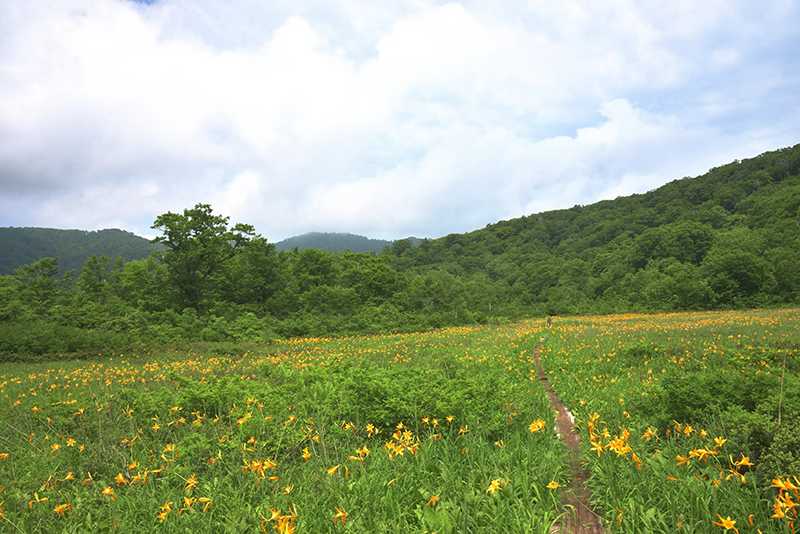 田苗代濕原