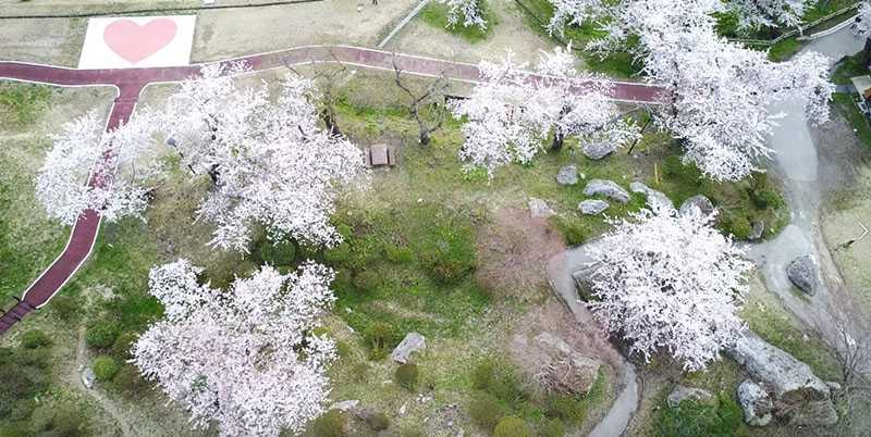 君待坂