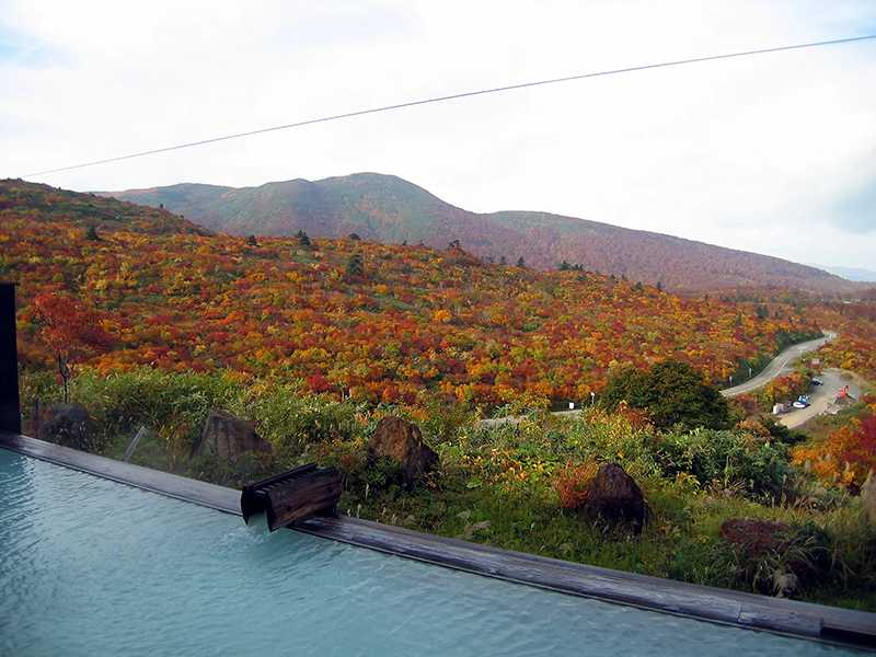 Sukawa Onsen Kurikoma Sansō