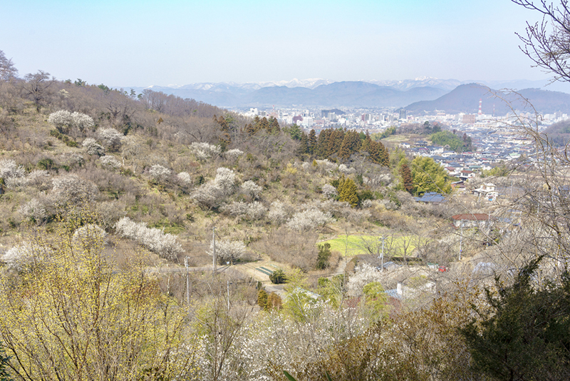 하나미야마