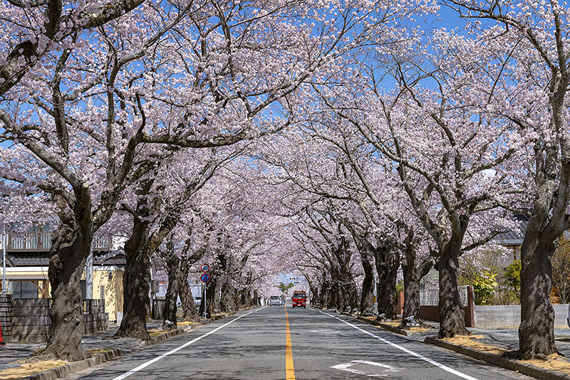 요노모리