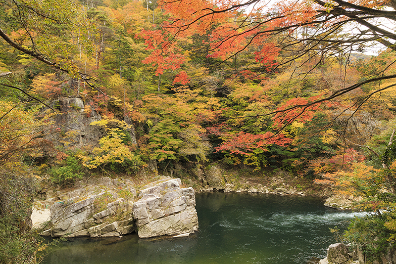 หุบเขาแม่น้ำทากาเซะ (Takase River Gorge)