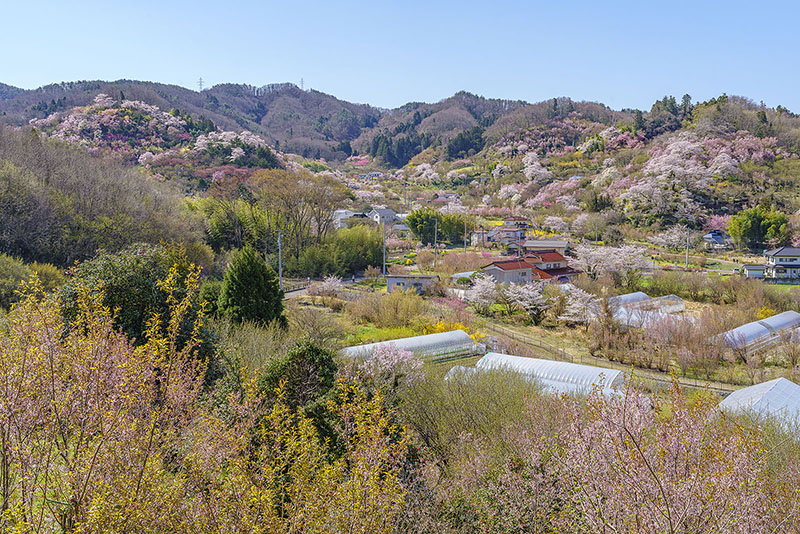 Fukushima City