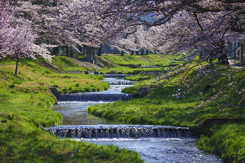 観音寺川