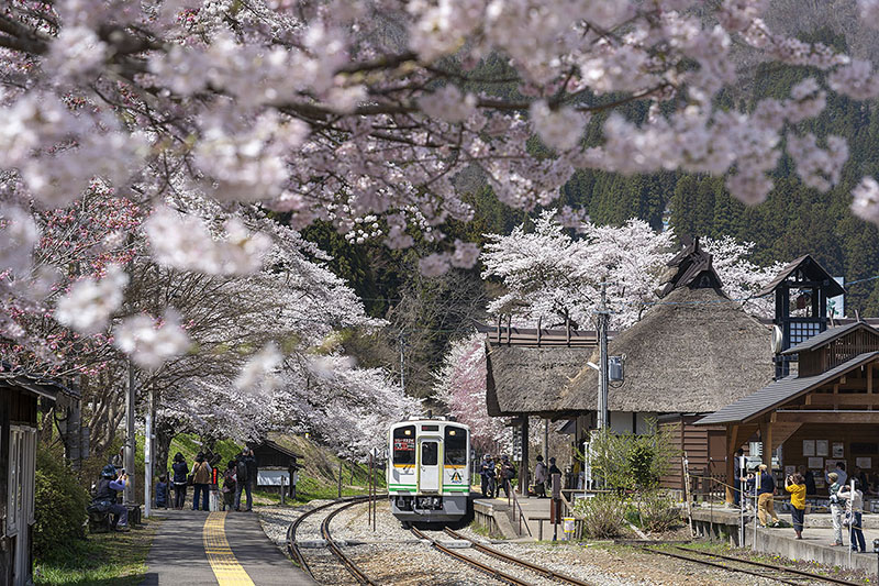 Shimogo Town