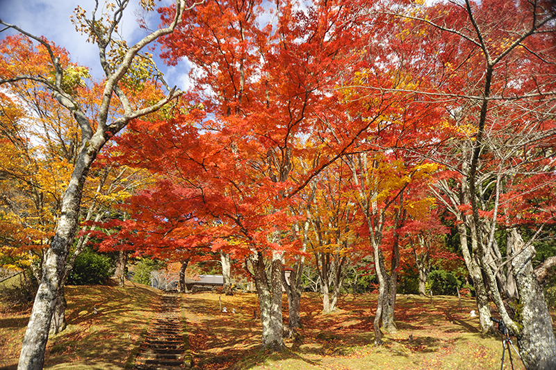 土津神社