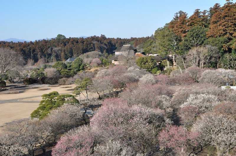 Mito City