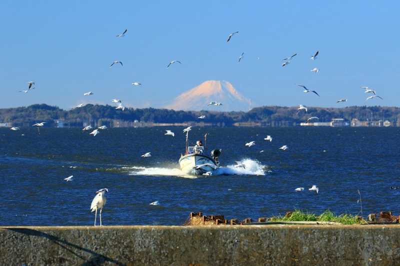 霞ヶ浦