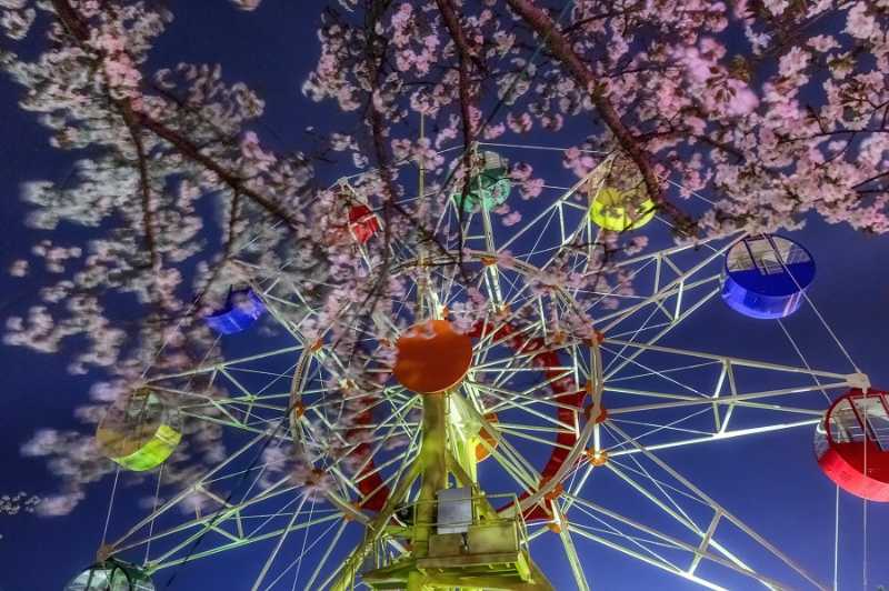 สวนสาธารณะคามิเนะ
