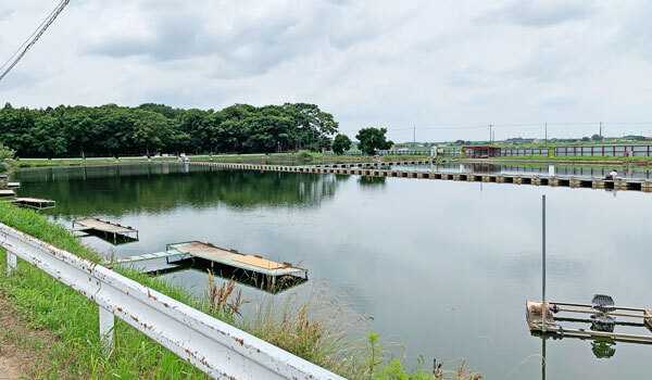 Sakai Town