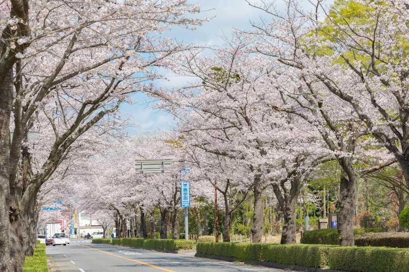 Ami Town