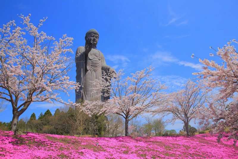 Ushiku City