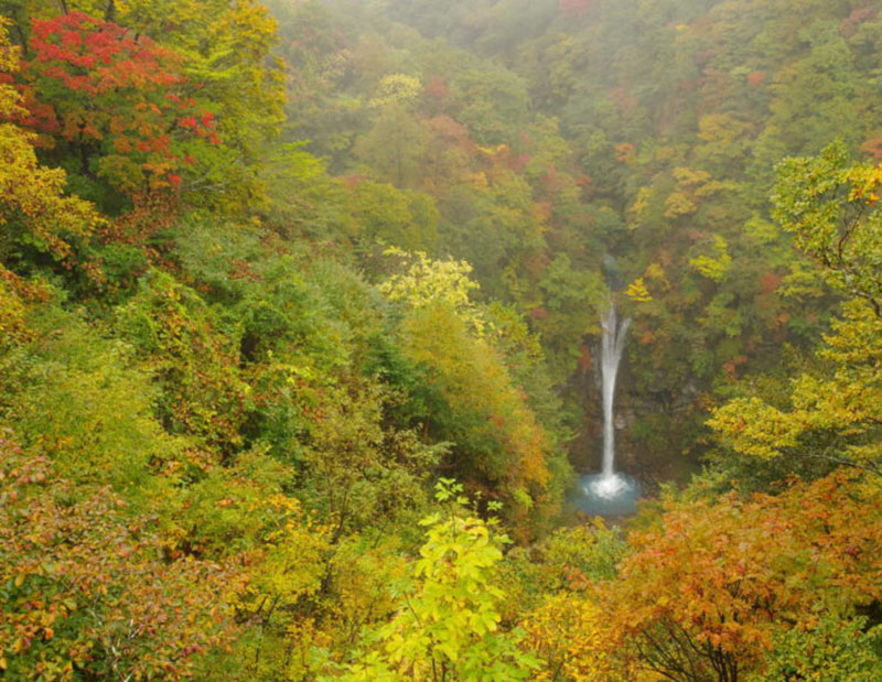 那須平成の森