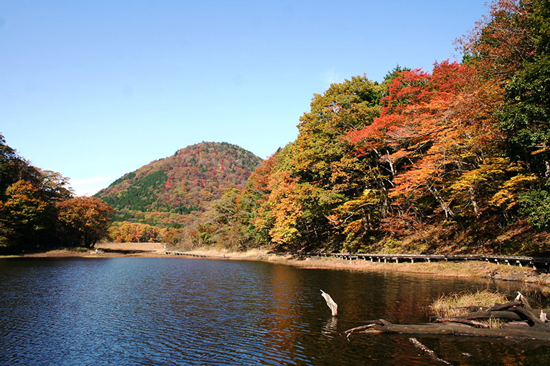 大沼公園・大沼園地