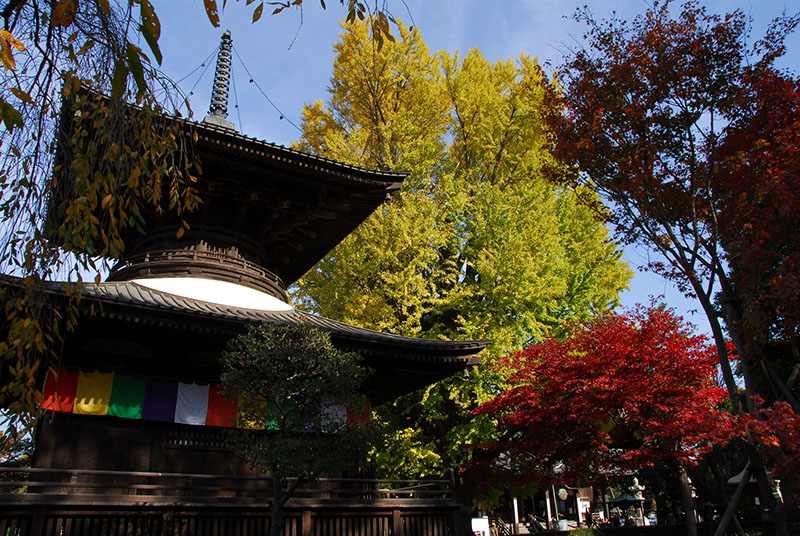 鑁阿寺