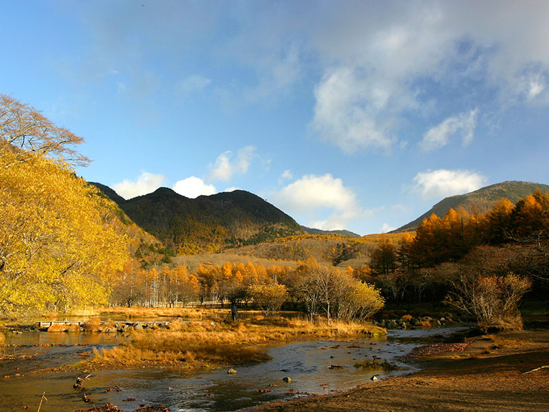 光徳沼