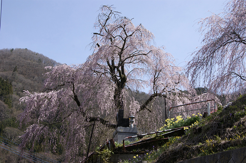 Ueno Village