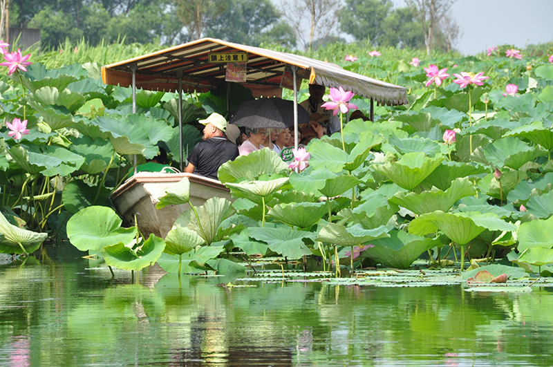 Jonuma Pond
