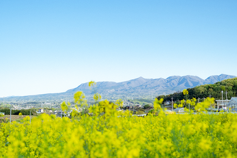 鹿田山