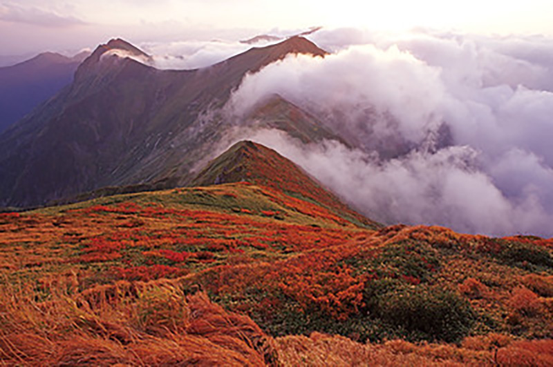 Mt. Tanigawa