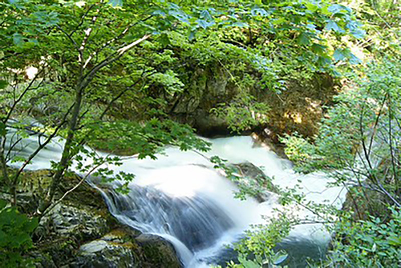 照葉峡