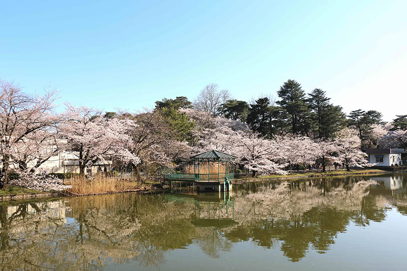 Saitama City