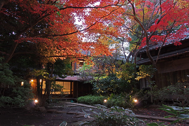 Ryotei Yamaya