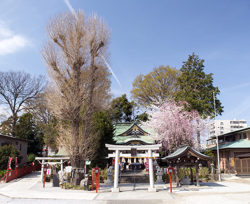 川越八幡宮