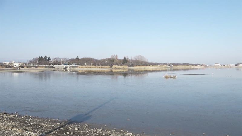 伊佐沼公園