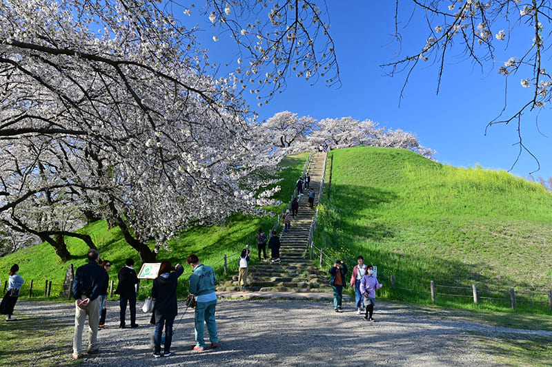 Sakamaki Burial Mounds