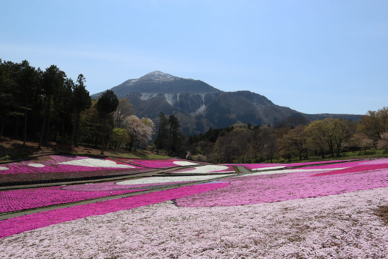 Hitsujiyama Park