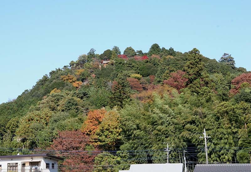 Mt. Tenran