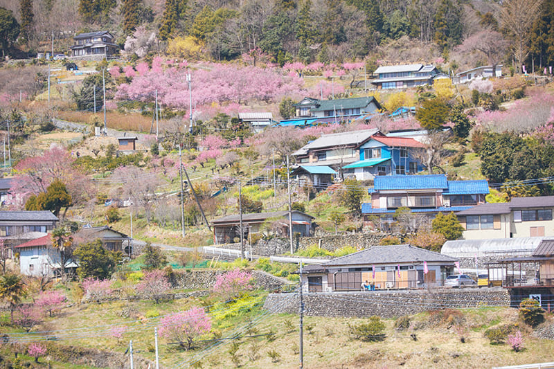 Higashichichibu Village