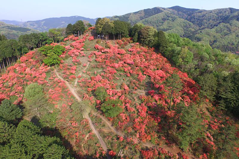 Yorii Town