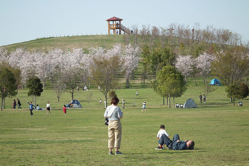 Matsubushi Town