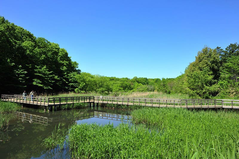 Kitamoto Nature Observation Park