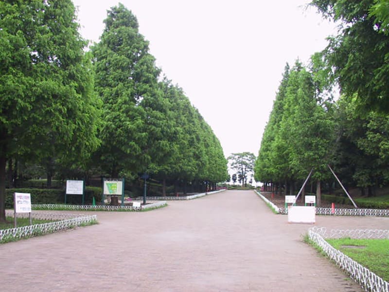 Soka Park