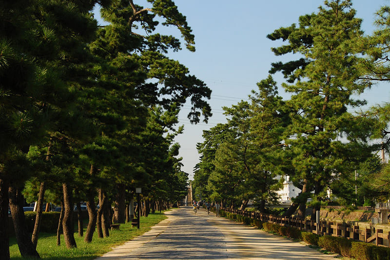 草加松原
