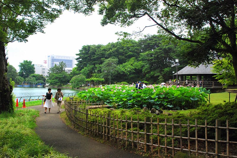 千葉公園