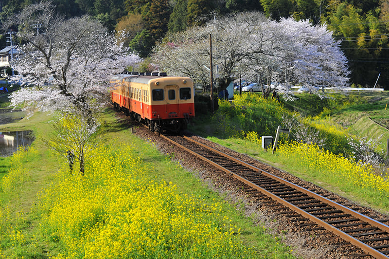 Ichihara City