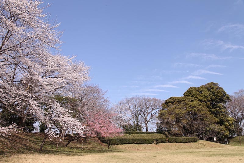 佐倉城址