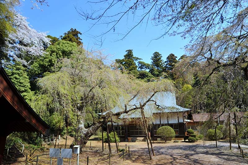 福星寺