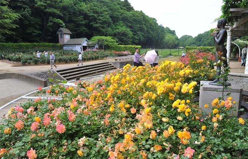 Ichikawa City